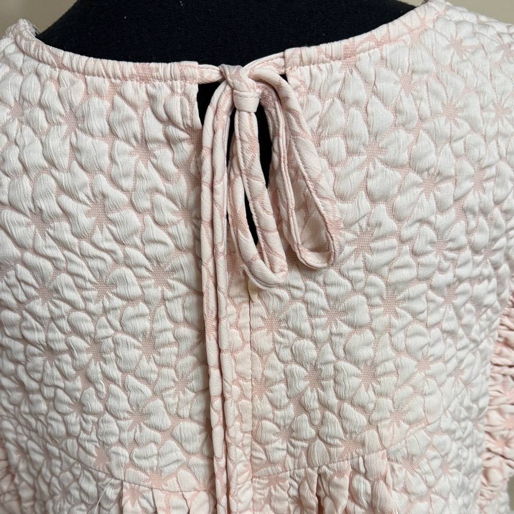 Pale Pink Textured Ruffled Sleeve Dress - Picture 11 of 16